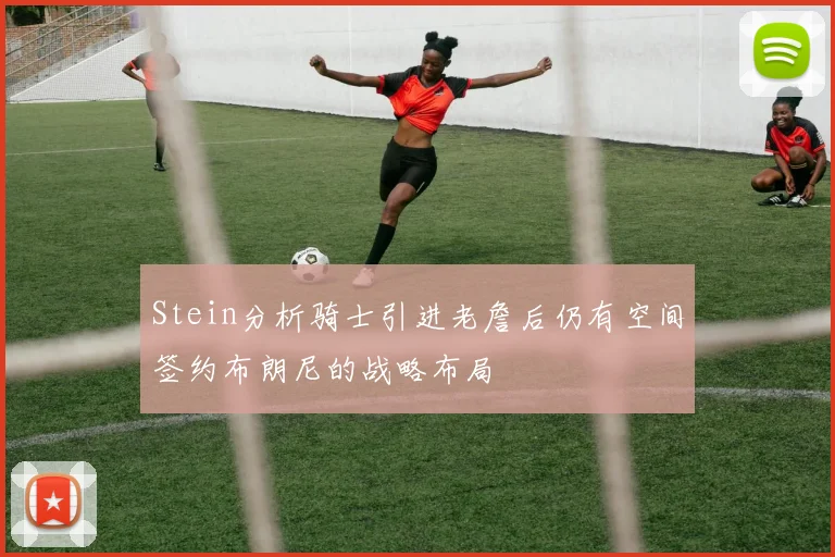 Stein分析骑士引进老詹后仍有空间签约布朗尼的战略布局
