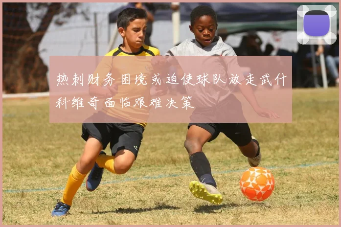 热刺财务困境或迫使球队放走武什科维奇面临艰难决策