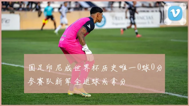 国足印尼成世界杯历史唯一0球0分参赛队新军全进球或拿分
