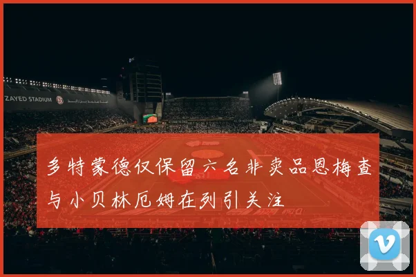 多特蒙德仅保留六名非卖品恩梅查与小贝林厄姆在列引关注