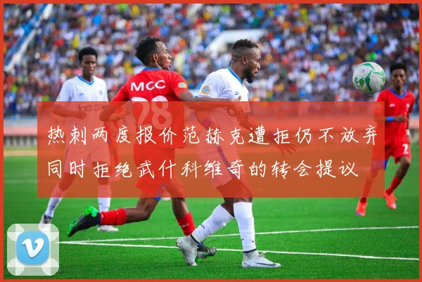 热刺两度报价范赫克遭拒仍不放弃同时拒绝武什科维奇的转会提议