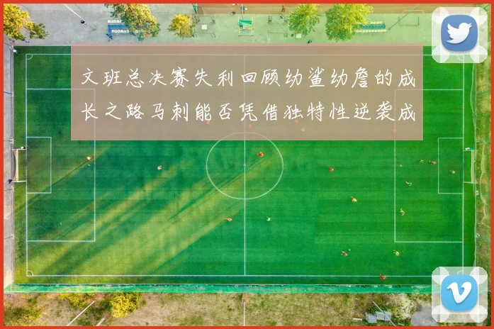 文班总决赛失利回顾幼鲨幼詹的成长之路马刺能否凭借独特性逆袭成功